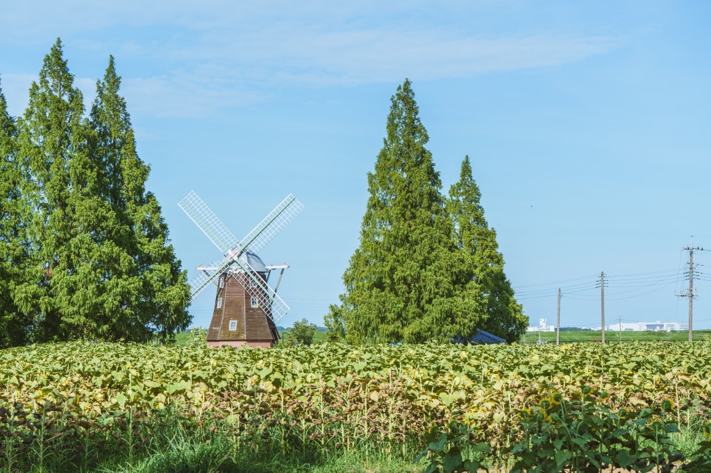 夏の窓を開けて