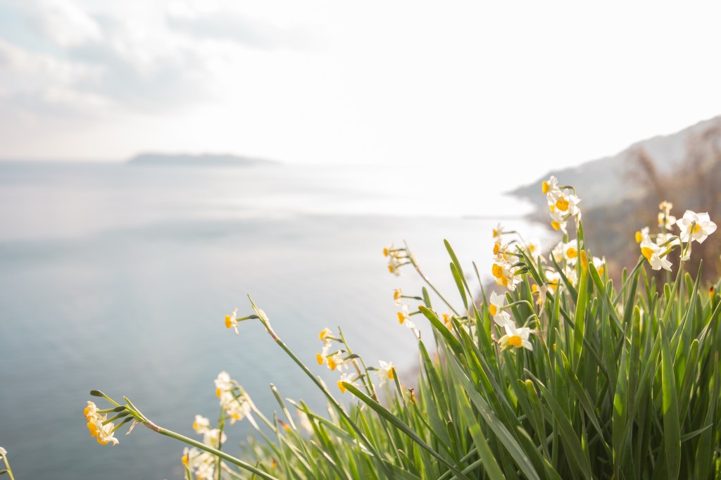 眩しかった日のこと、そんな冬の日のこと