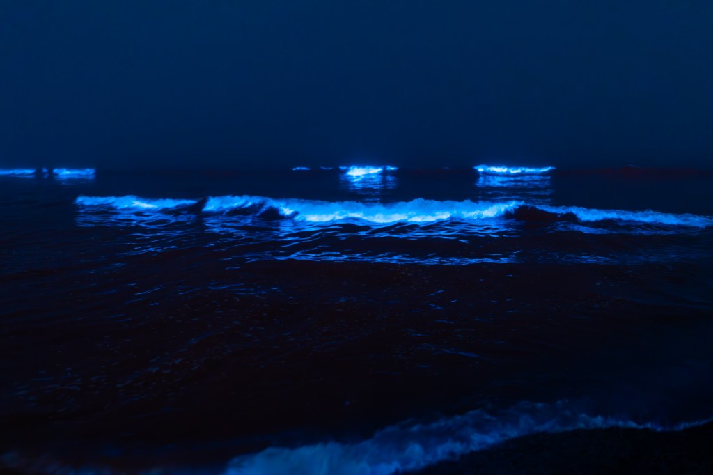 Lumicent ocean